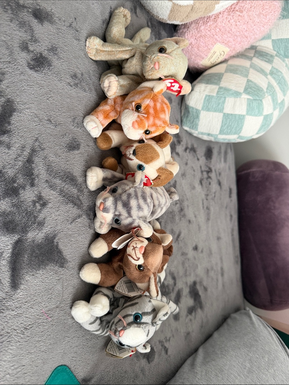 Beanie Babies TY Plush Cat Beanie Babies
